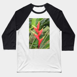 An Exotic Heliconia Baseball T-Shirt